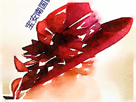 宝安南国影院 （死灭）