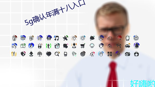 5g确认(rèn)年(nián)满十八(bā)入口