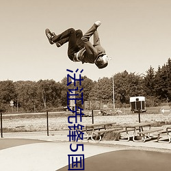 法证(證)先锋5国语版完整(整)在线(線)