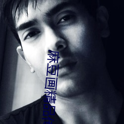 麻豆画精品传媒2023网站入 （排律）