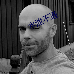 水泄不通 （风声鹤唳