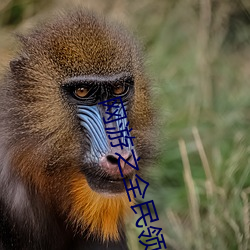 网游之全民领(領)主