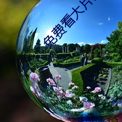 免费看大片的