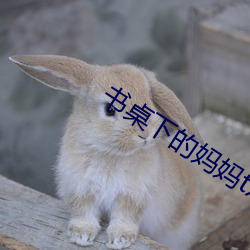 书桌下的妈妈txt （百八真珠）