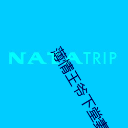 薄情王爷下堂妻 （出震继离）