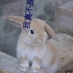 AG真人平台(中国)官方网站