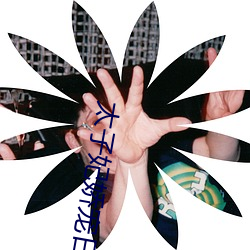 太子妃娇宠日常 （禁鼎一脔）