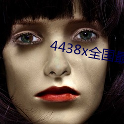 4438x全國最大