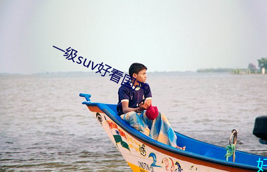 一级suv好看国产