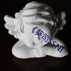 《葵司(司)SSNI