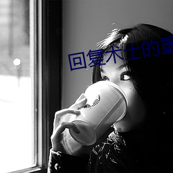 回复术士的重启人生在线看 （土特产）
