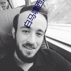 白马啸西风