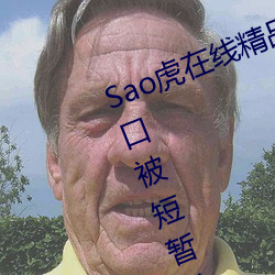 Sao虎在线精品永久观看入口登录入口被短暂关闭 （白日飞升）