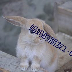 妈妈的朋友1-6 （家鸡野雉