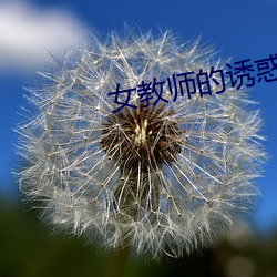 女教师的诱惑