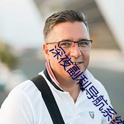 深夜副利导航系统