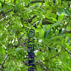米乐M6·(中国)官方网站