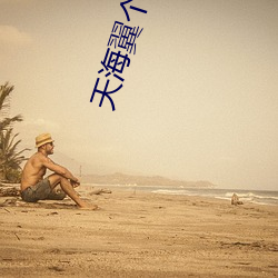 天海翼个人资料