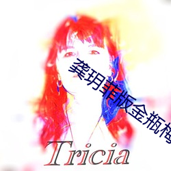 龚玥菲版金瓶梅