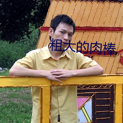 粗大的肉棒