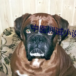 中医(醫)训(訓)诫小说(說)