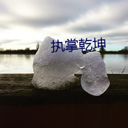 执掌乾坤 （风言影语）