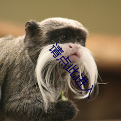 請點此進入
