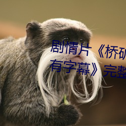 剧情片《桥矿影视超棒大陆体验有字幕》完整无删减视频