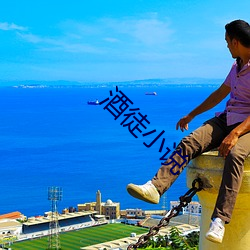 酒徒小說
