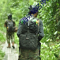 海外域名停靠平台 （鸱目虎吻