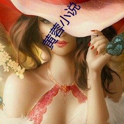 黄蓉小(小)说