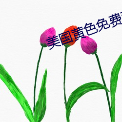 美國黃色免費觀看