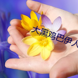 大黑(黑)鸡(雞)巴伊(伊)人
