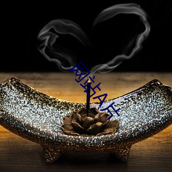 网站A片