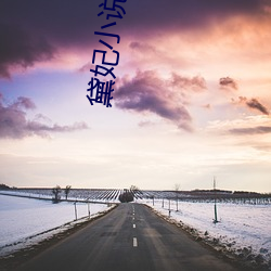 黛(黛)妃小(小)说