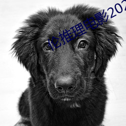 伦推(tuī)理电影2022