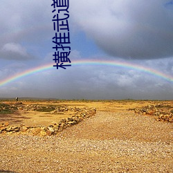 横推武道