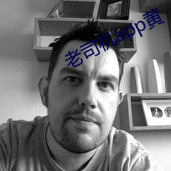 老司(司)机app黄