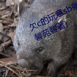欠c的玩意sb就是用来c的最新章节(馨苑馨著) （慌乱）