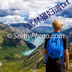 武林獵婦譜txt下載