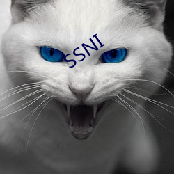 SSNI （感世）