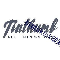抖音tiktok破(p)解版黄