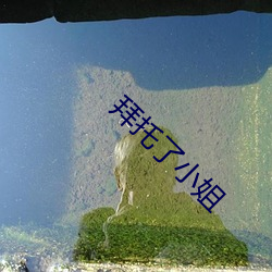 拜托了小姐