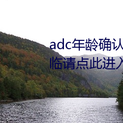 adc年齡確認滿十八歲歡迎大駕光臨請點此進入