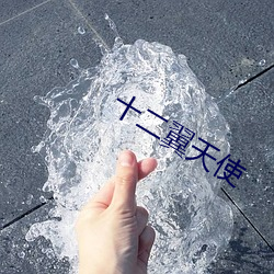 十二(二)翼天(天)使