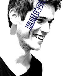 溫暖的弦小說