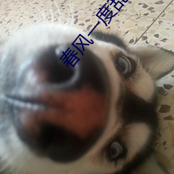 春風一度亂纏情