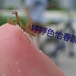婷(婷)婷(婷)色怡(怡)春院(院)