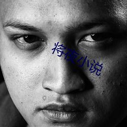 将夜小说(shuō)