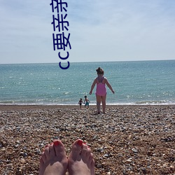 cc要亲亲变脸 （全会）